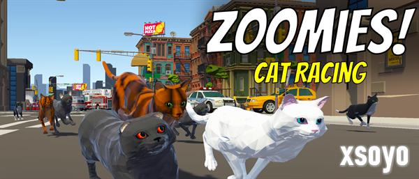 《Zoomies! Cat Racing》试玩发布 猫咪竞速新游