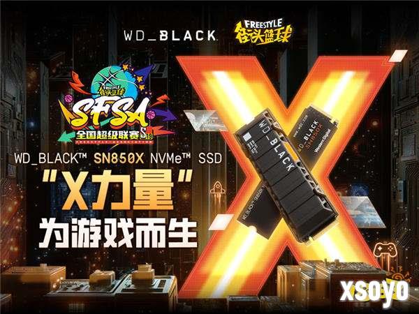 为游戏而生  WD_BLACK全程助力《街头篮球》SFSA全国超级联赛