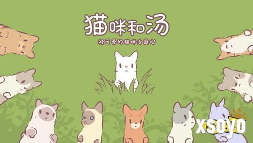 温暖治愈经营手游《猫咪和汤》今日公测开启！