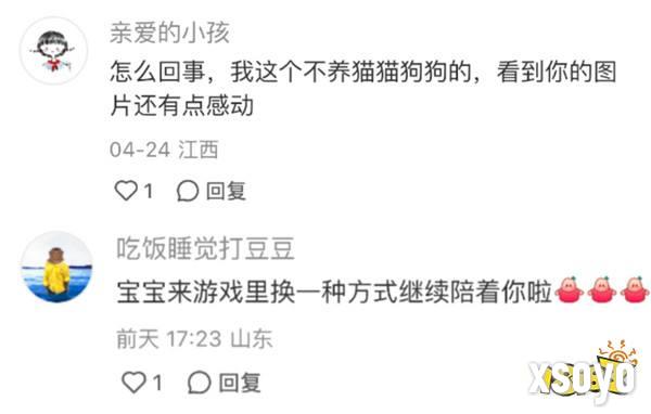 强推！申请《以闪亮之名》游戏加入养宠人必入清单