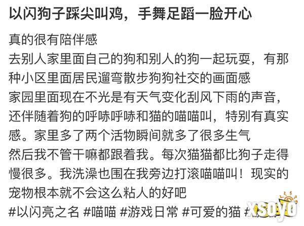 强推！申请《以闪亮之名》游戏加入养宠人必入清单