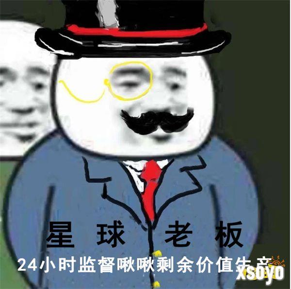 158只啾啾，你不打工，有得是啾啾打工！