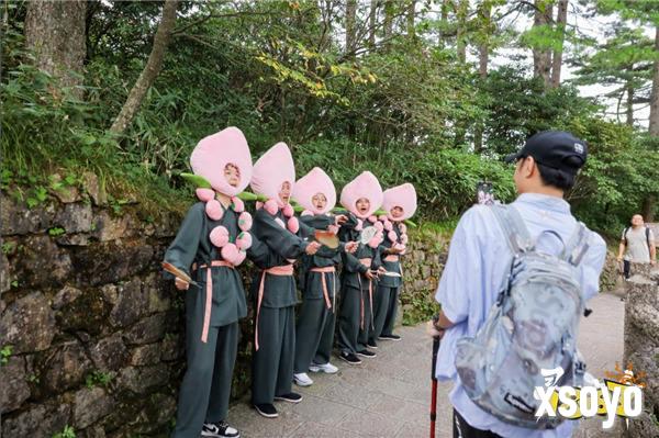 修练不止是传说！《寻道大千》×黄山文旅跨界联动进行中