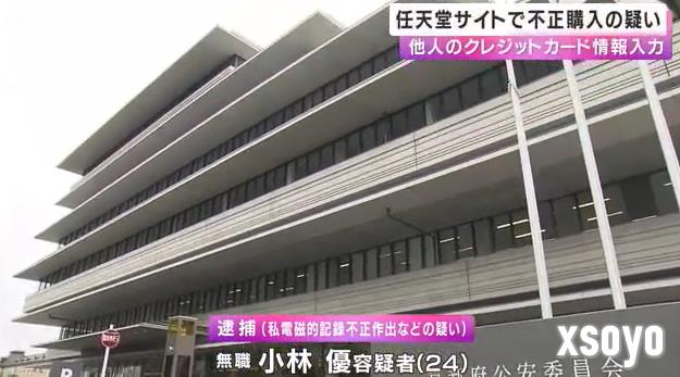 日本玩家使用他人信息网购任天堂两个游戏手柄被捕 