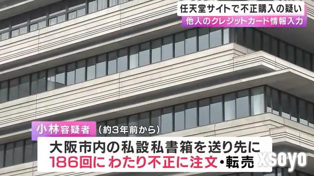 日本玩家使用他人信息网购任天堂两个游戏手柄被捕 