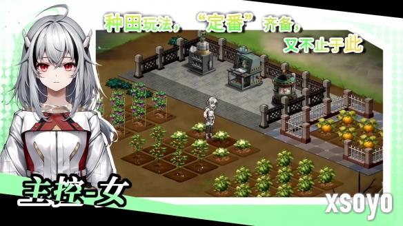 新手游网