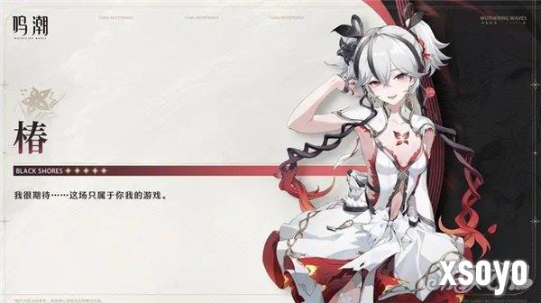 鸣潮椿角色爆料一览 椿爆料总结