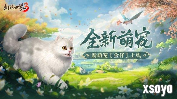 新手游网2