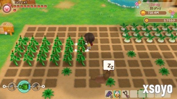 新手游网