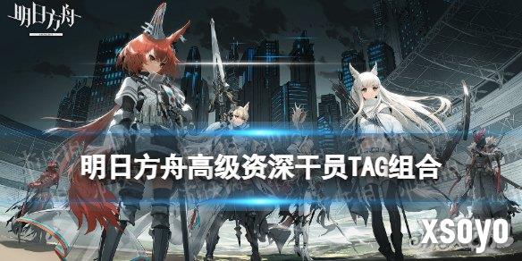 明日方舟高级资深干员tag组合表 2024最新一览
