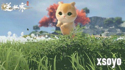 新手游网5