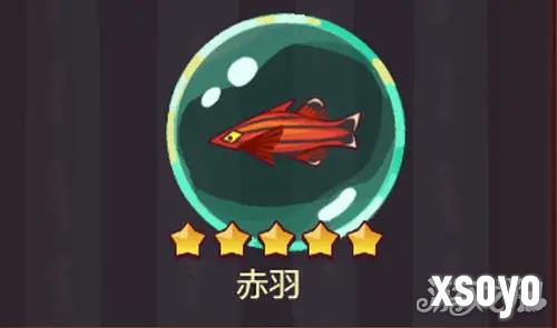 咸鱼之王如何开局皇冠四 开局皇冠四方法