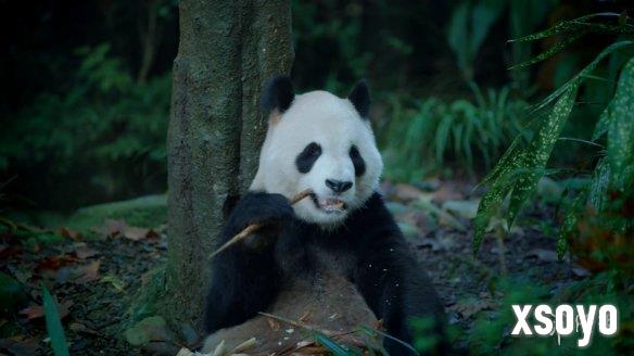 新手游网12
