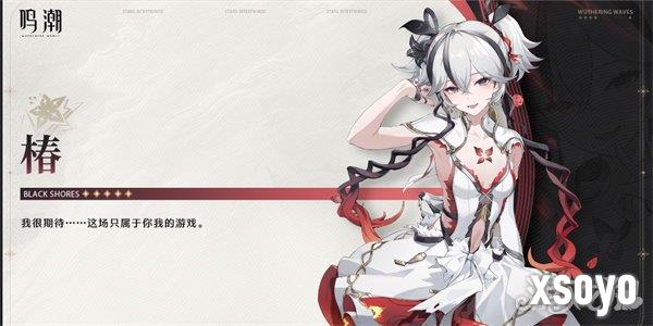 鸣潮椿武器怎么选择 武器选择建议