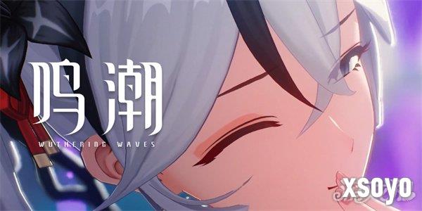 鸣潮椿4c声骸选暴击还是暴伤 椿4c声骸暴击和暴伤选择推荐