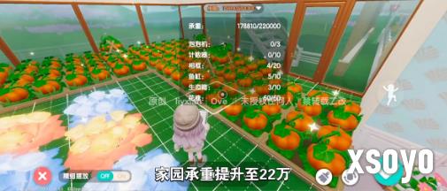 心动小镇11月28日更新内容介绍 更新内容是什么