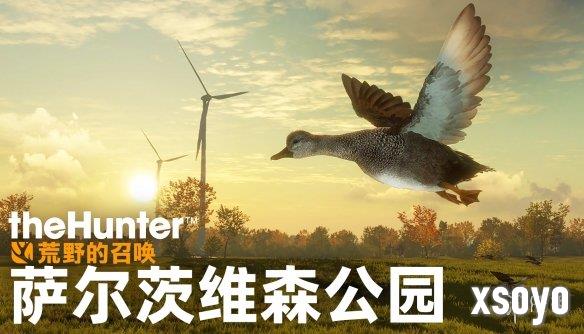 新手游网2