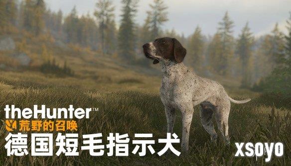 新手游网3