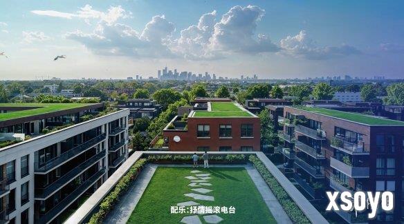 新手游网4