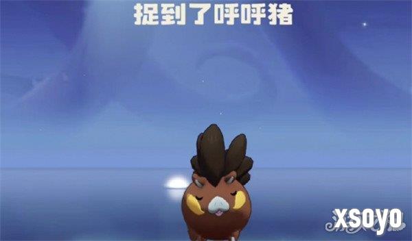 洛克王国世界呼呼猪技能怎么搭配 呼呼猪技能搭配推荐