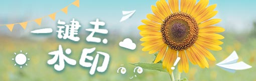 《风云水印管家》最新版