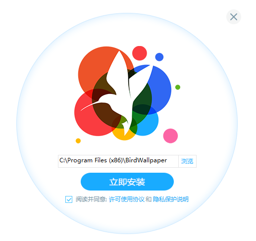 小鸟壁纸在线版