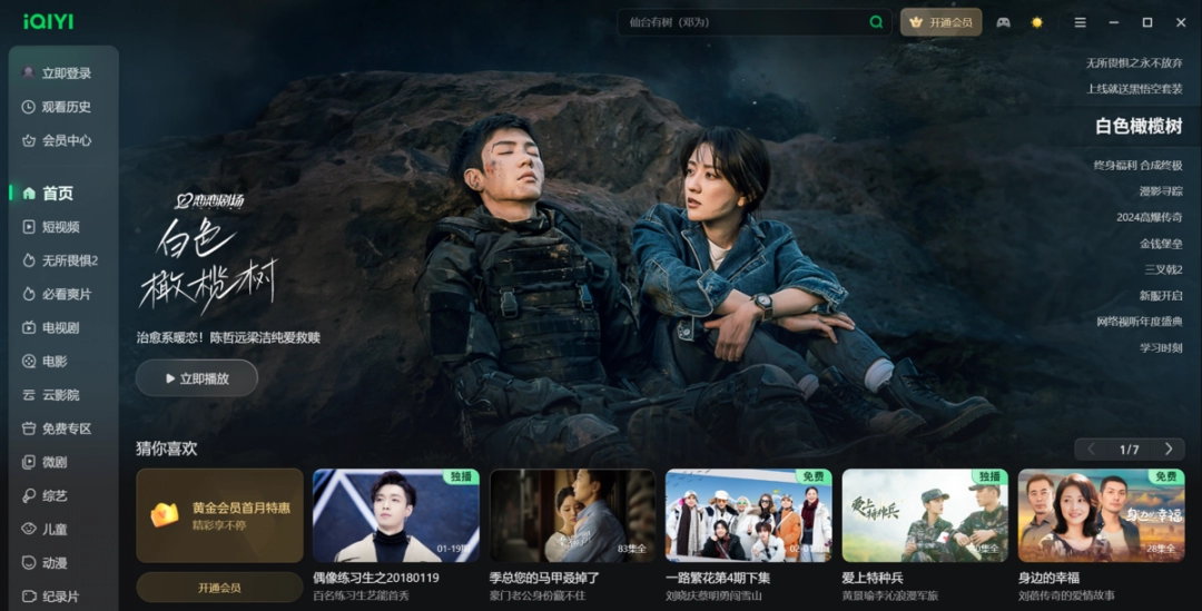 爱奇艺影音PC版