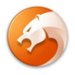 猎豹浏览器63位8.0