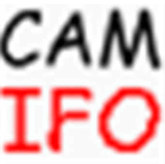 CamInfo正版