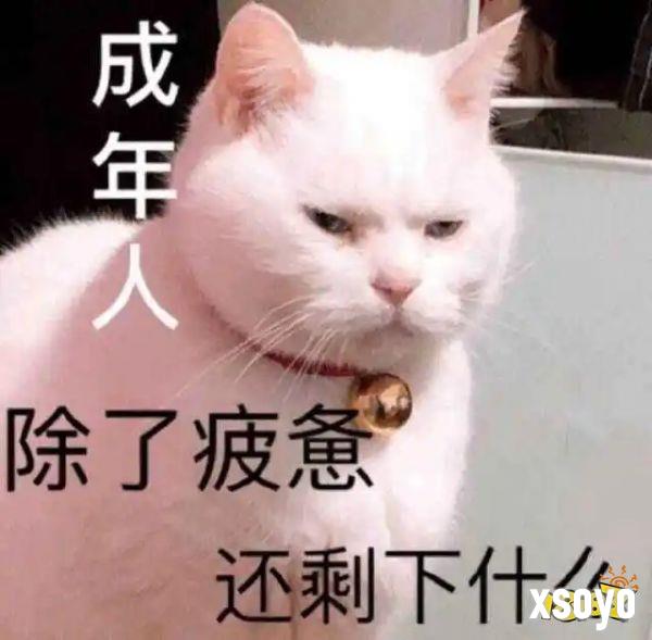 谁说MMORPG是老登游戏，问过“油腻的师姐”吗？