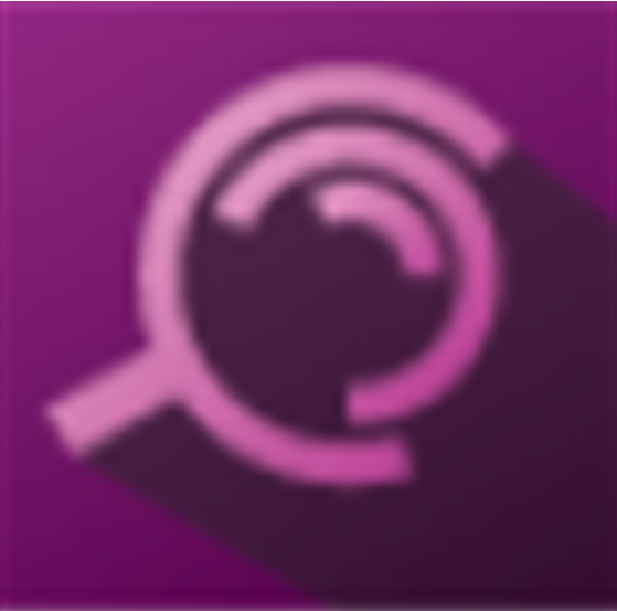 Steelray Project Analyzer(项目分析软件)v7.8.2