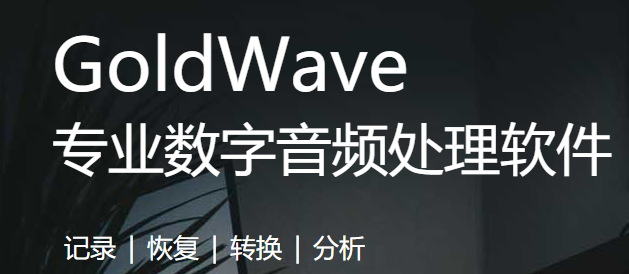 GoldWaveV6.51