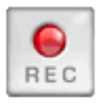Fox Magic Audio Recorder 1.0