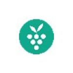 《Berrycast》正式版