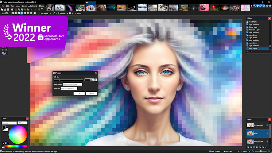 Paint NET5.0.11x64便携版