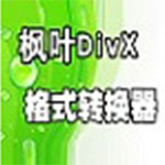 枫叶DivX格式转换器v1.0