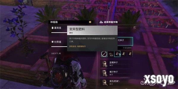 七日世界变异小麦在哪里 变异小麦位置一览