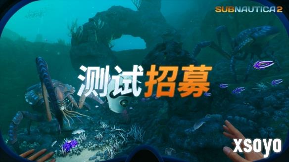 新手游网1