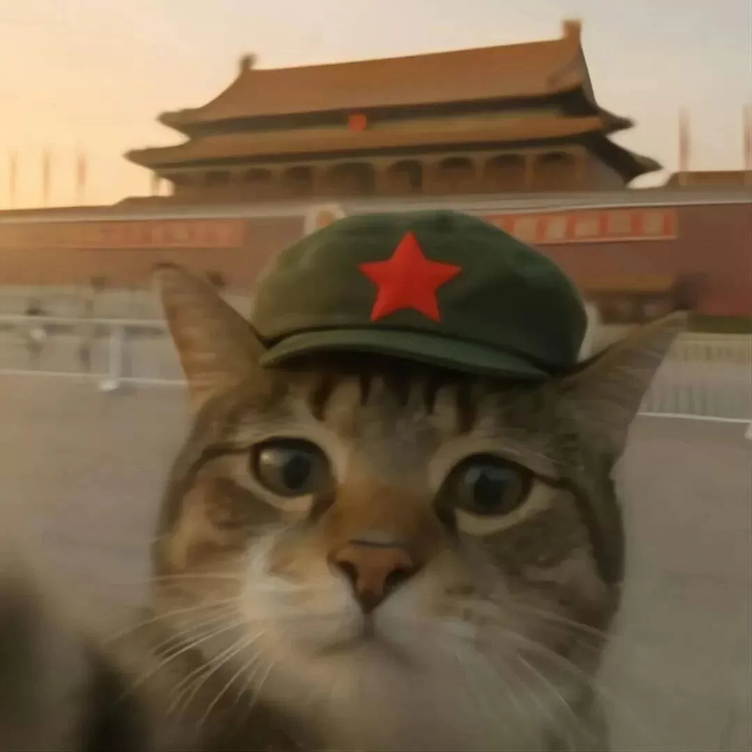 新手游网9