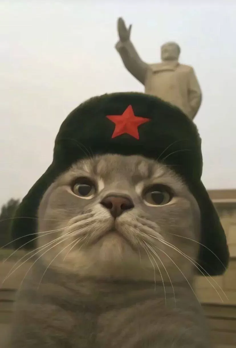 新手游网10