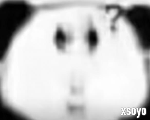 新手游网2