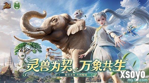 新手游网1