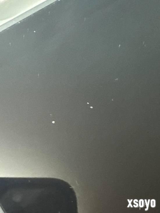 新手游网7