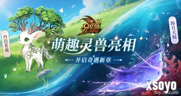新手游网4