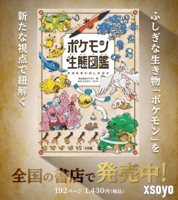新手游网2