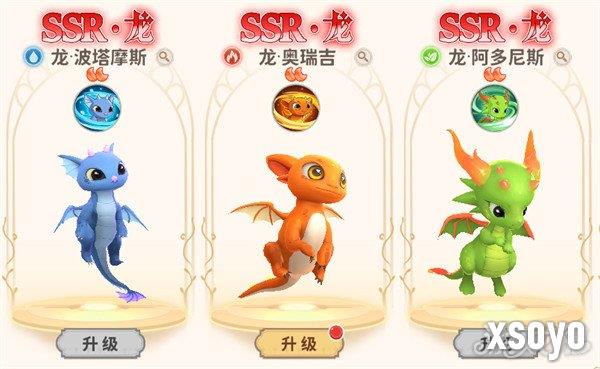 龙骑士学园宠物怎么培养 宠物培养攻略