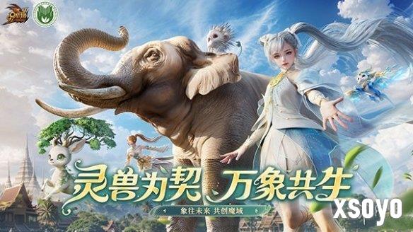 新手游网4