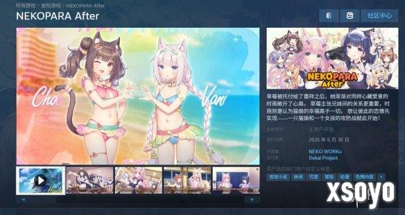 新手游网1