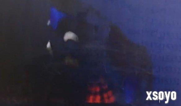 新手游网11