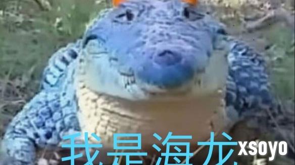 新手游网3